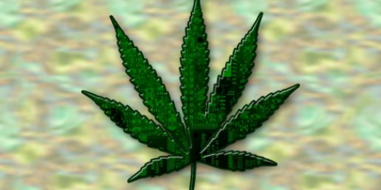 picture of a cannabis leaf